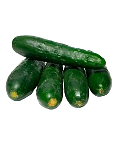 Pepino 500g