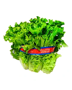 Lechuga Francesa 500 G