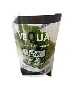 Lechuga Crispy Vequa Cultivos Hidropónicos Paquete 800 G 1 U
