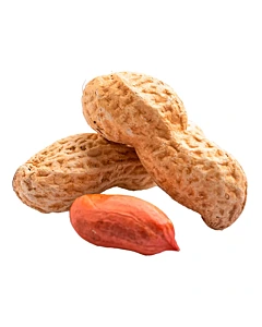 Mani 100 G