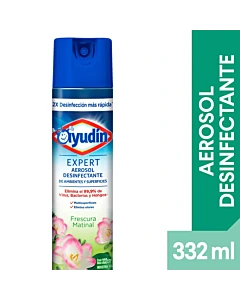 Desinfectante En Aerosol Ayudin Expert Frescura Matinal 332ml