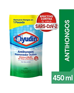Limpiador Antihongos Ayudín Removedor Activo (Envase Económico) 450 Ml