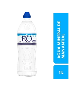 Agua Mineral De Manantial Con Pico Deportivo Eco De Los Andes 1 Lt