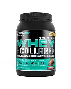 Suplemento Dietario Vitamin Way Whey Protein Collage Chocolate 930 G